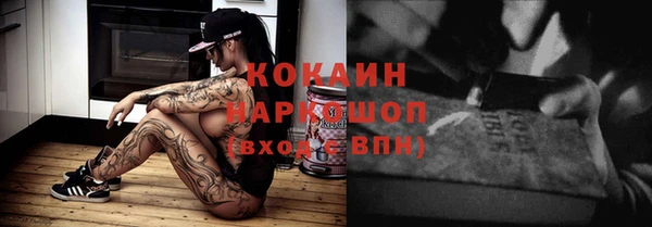 индика Алексин