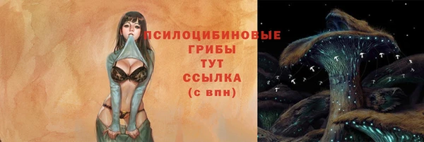 СК Алзамай