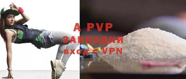 индика Алексин