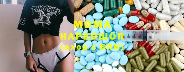 индика Алексин