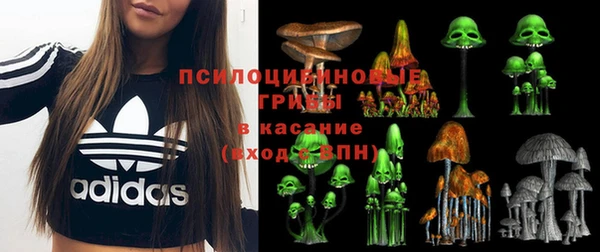 индика Алексин